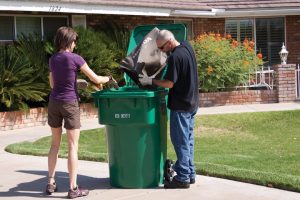 Почему важно вывозить и утилизировать мусор?
